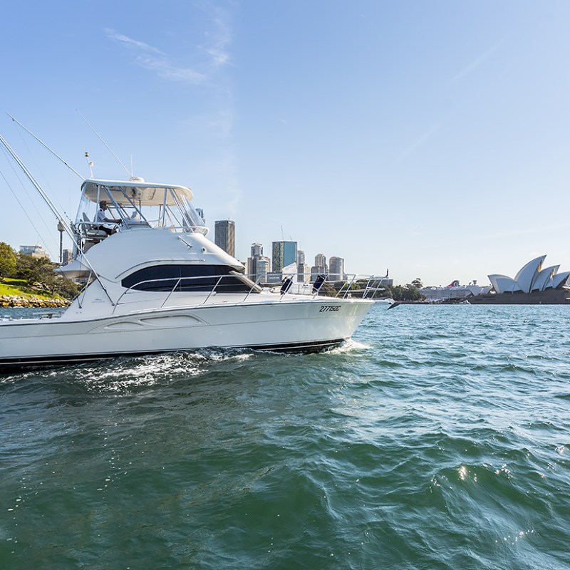 Sydney Harbour Cruise
