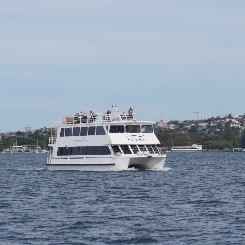 White tour boat named 'PEARL' on a calm body of water with a city shoreline in the background.