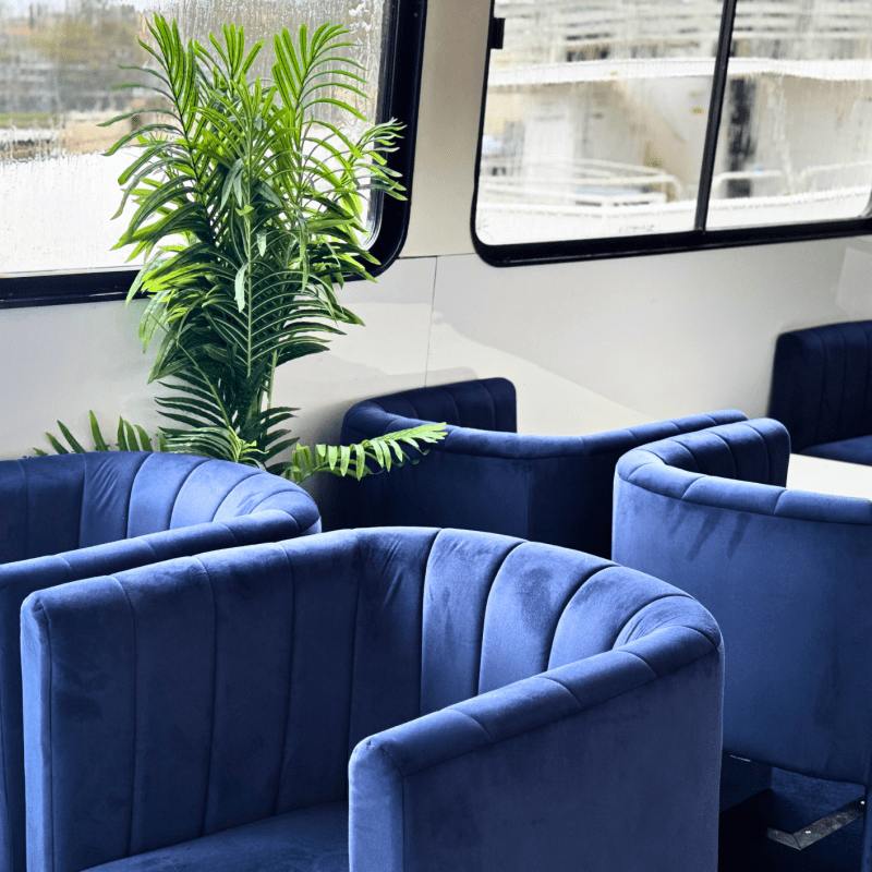 Blue velvet chairs and a potted plant in a modern room with large windows.